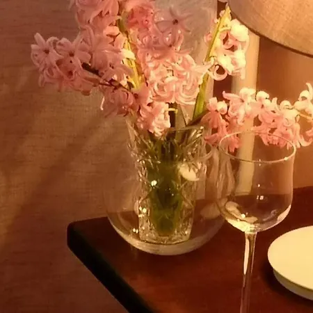 Apartman Prim *